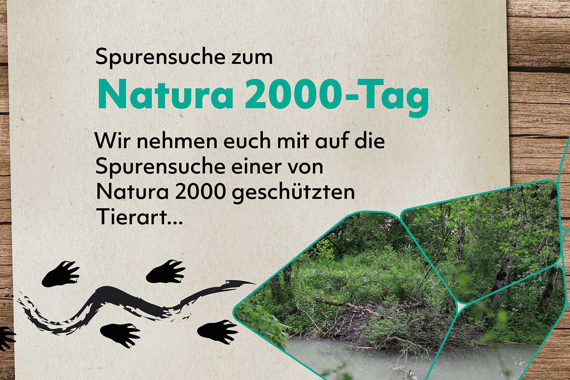 Ein Bachufer mit Biberburg, darüber die Aufschrift: Spurensuche zum Natura 2000-Tag. Wir nehmen euch mit auf die Spurensuche einer von Natura 2000 geschützten Tierart...