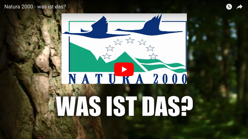 Bildlich zu Youtube. Natura 2000 (DE)