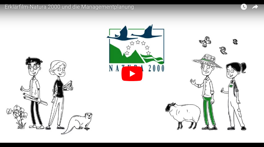 Bildlich zu Youtube. Natura 2000 (DE)