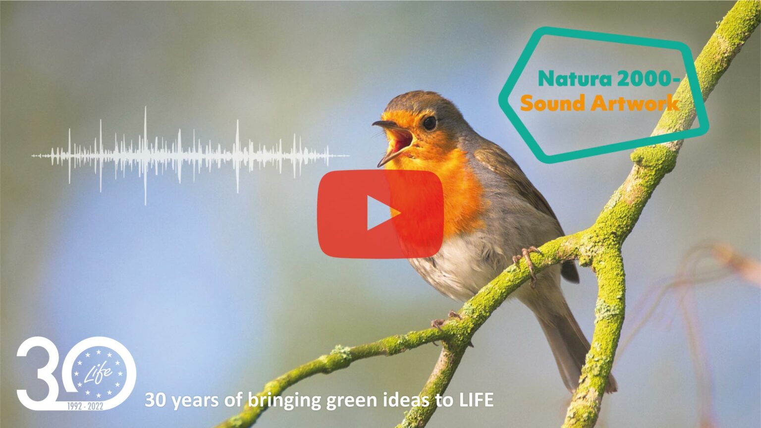 Natura 2000-Sound Artwork