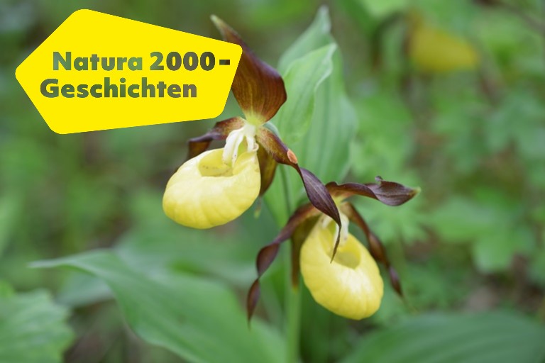 Natura 2000-Geschichten