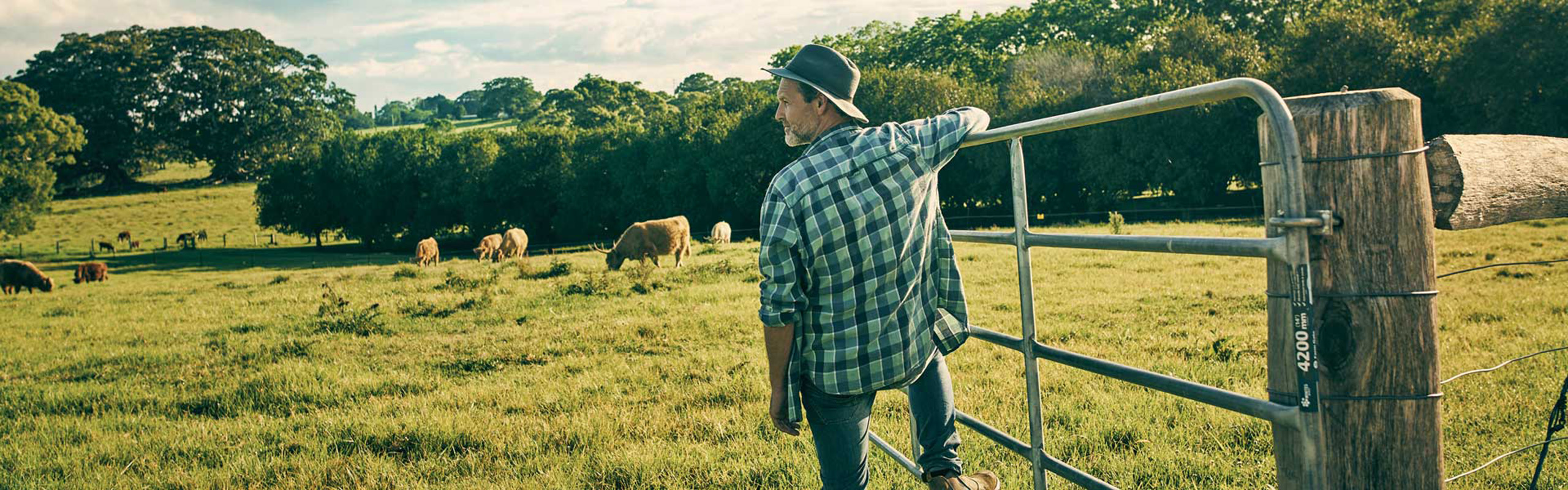 Bild eines Landwirts der an einem Weidezaun gelehnt nach links blickt.