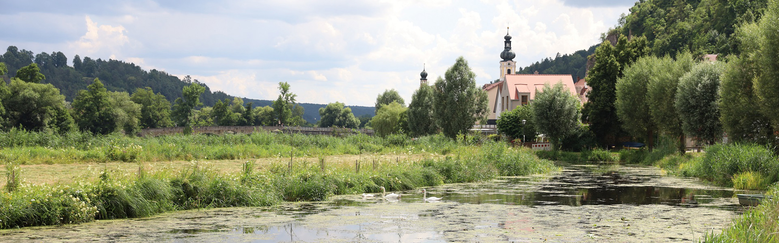 Bild einer idyllischen Landschaft mit Dorf im Hintergrund