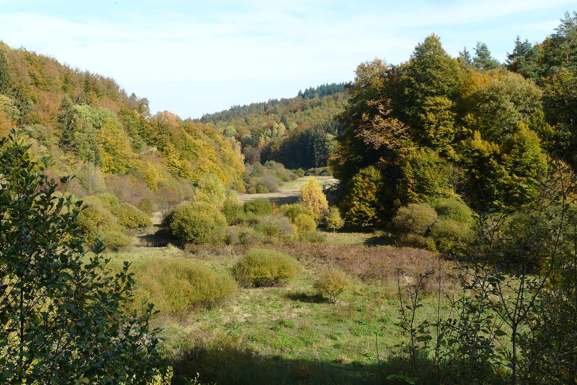 Schafe der Anderlbauer