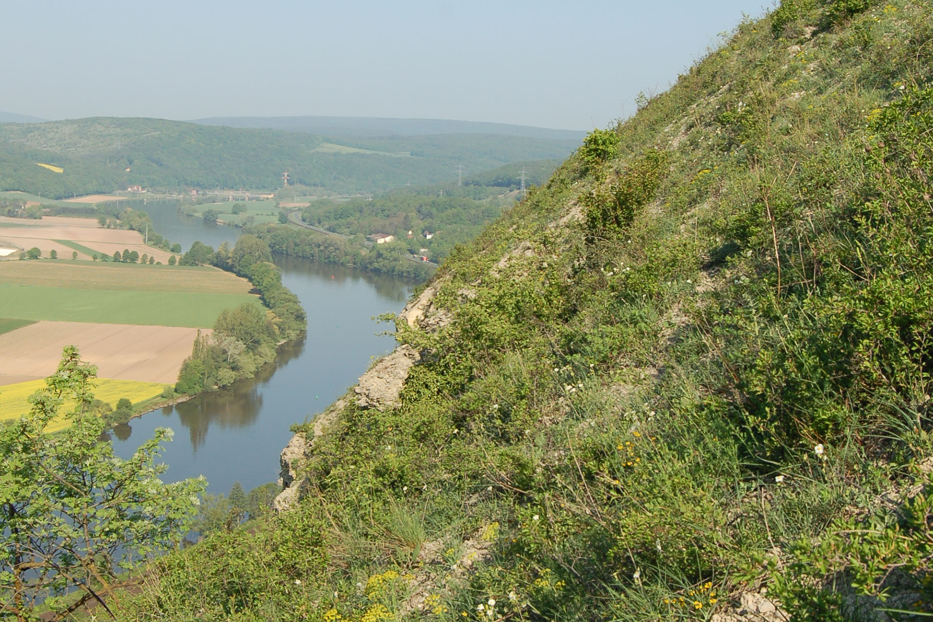 Trockenhänge des Grainberg-Kalbenstein