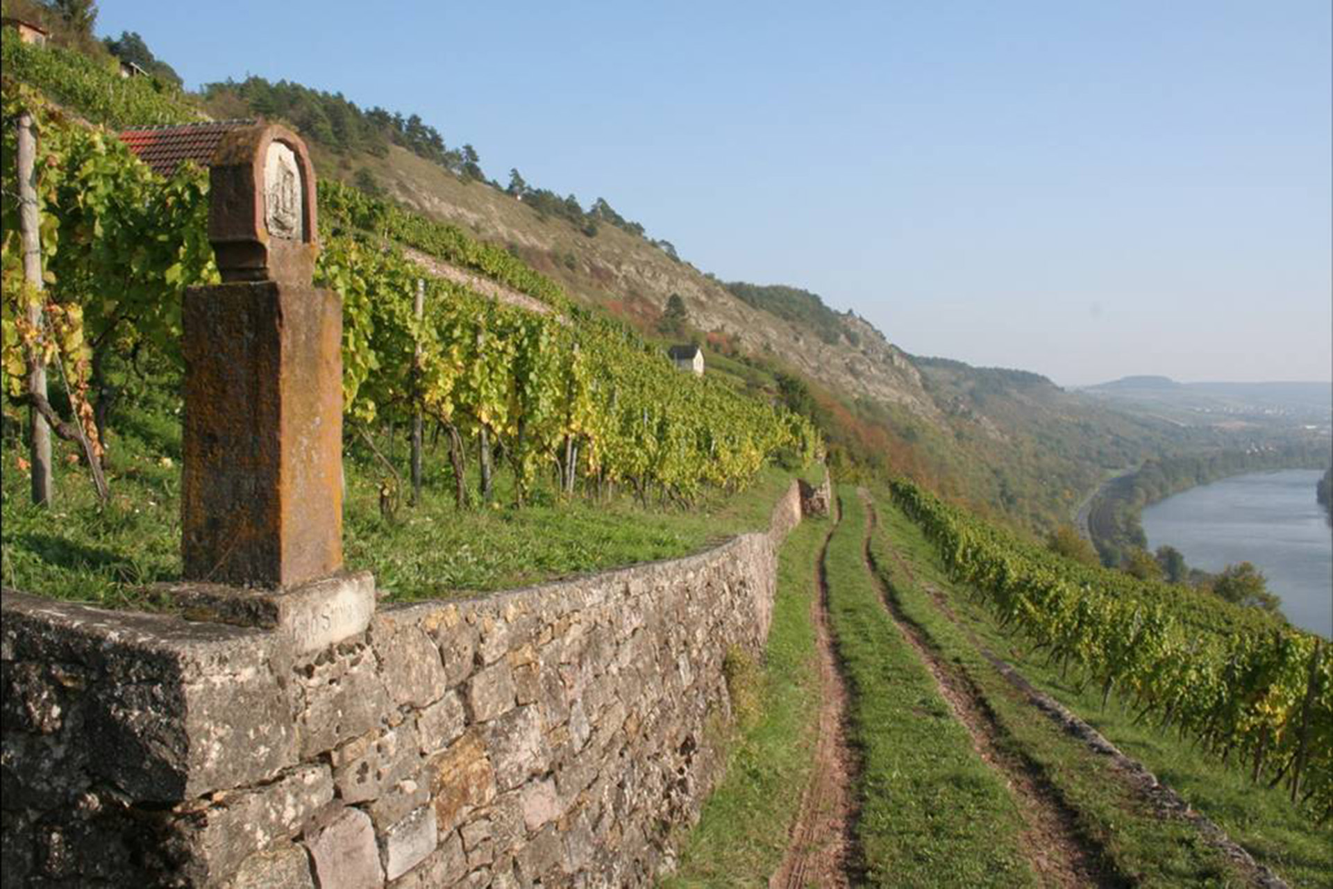 Weinberge des Grainberg-Kalbenstein