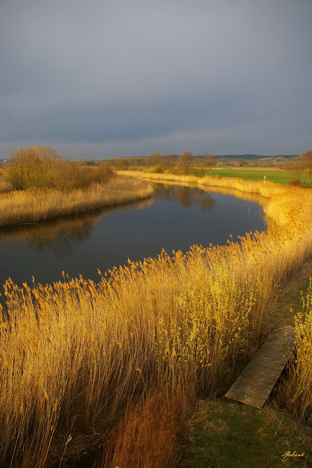 Blick vom Turm auf Sichersee