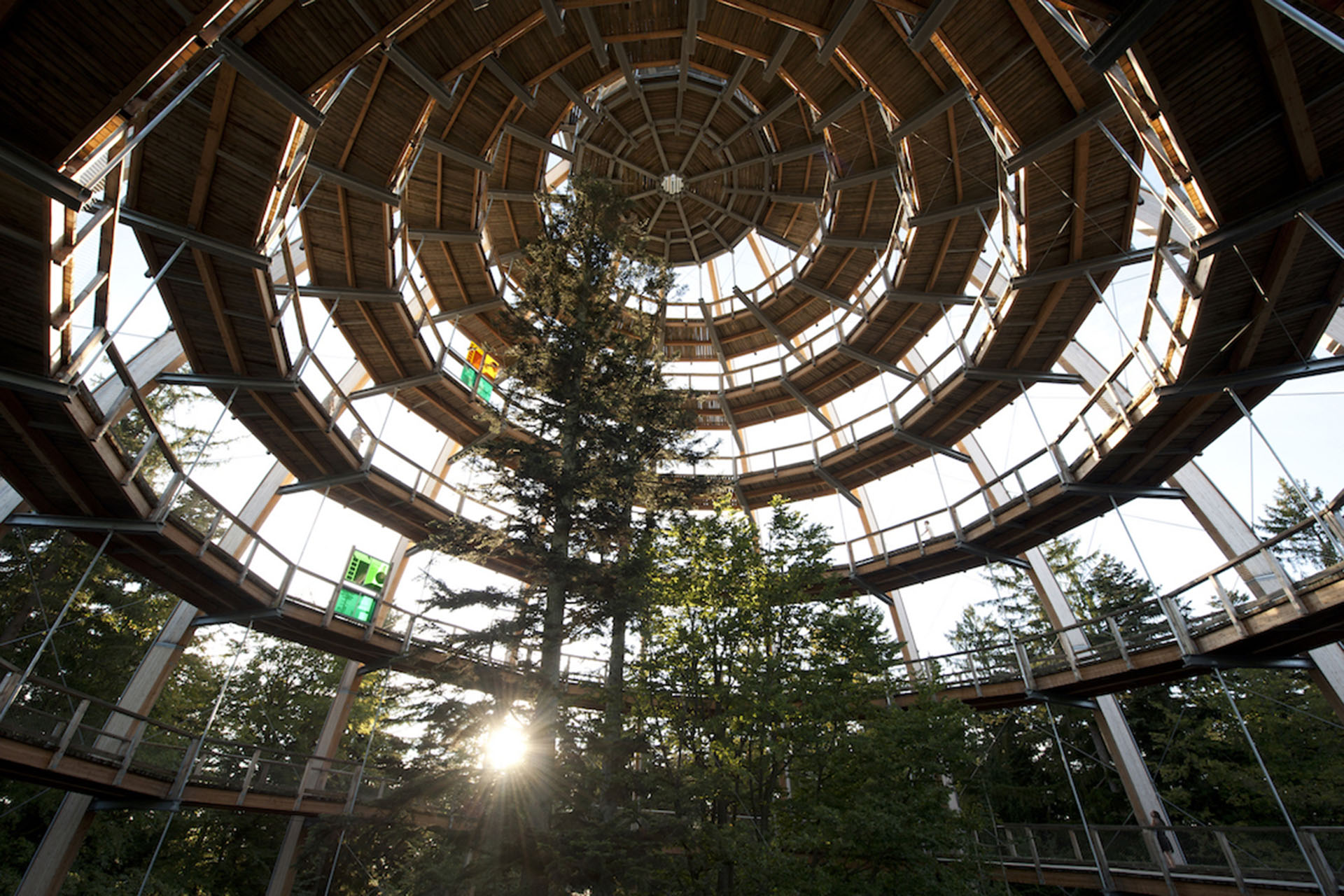 Baumwipfelpfad im Nationalparkzentrum Lusen