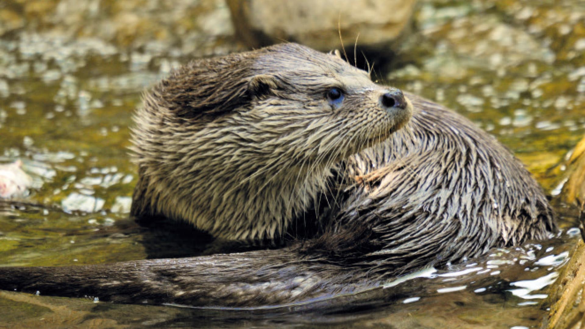 Die Selbitz grub sich bis zu 170 Meter in das Höllental ein